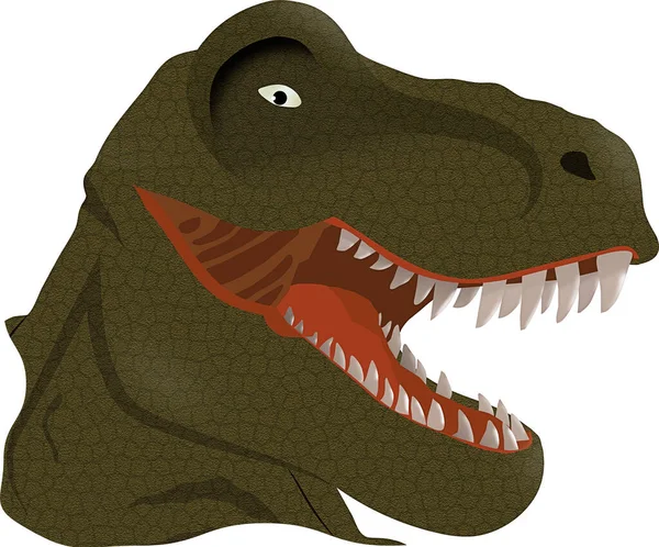 Tyrannosaurus Rex Head Illustration Vector