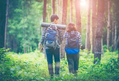 Çim kaplı çam ormanları arasında çiftler, genç erkekler ve Genç kadınlar yürüyüşçü Asyalılar onlar seyahat etmek, doğa macera sevenler vardır. Rainforest ekolojisi incelenmesi.