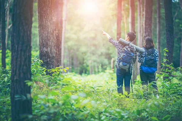 Inmitten Der Kiefernwälder Wandern Junge Männer Und Junge Frauen Sie — Stockfoto