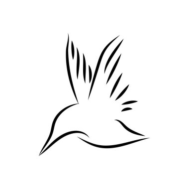Ortak kingfisher kuş mono line art vektör