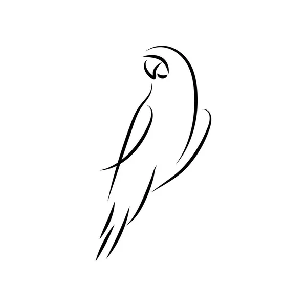 Papegoja Fågel Mono Line Konst Vector Malldesign — Stock vektor