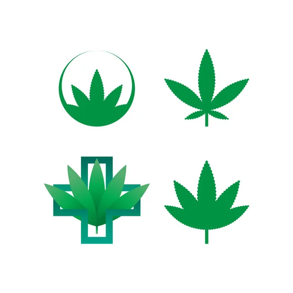 Modèle Icône Logo Feuille Marijuana Verte Vecteur — Image vectorielle