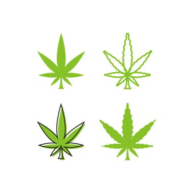 Marihuana yaprağı logo şablonu