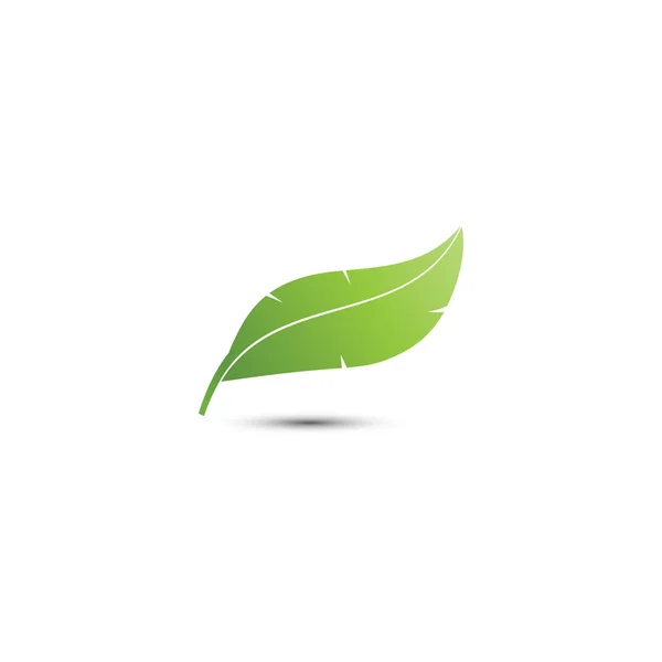 Fjäder Logo Ikon Design Mall Vektorelement — Stock vektor
