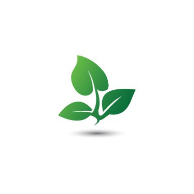 Soyut yaprak logo simge şablon vektör öğesi