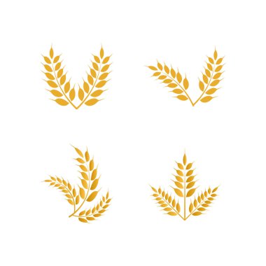 Buğday sarı logo simge tasarım şablonu vektör