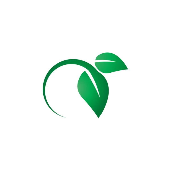 Grünes Blatt Logo Symbol Design Vorlage Vektor — Stockvektor