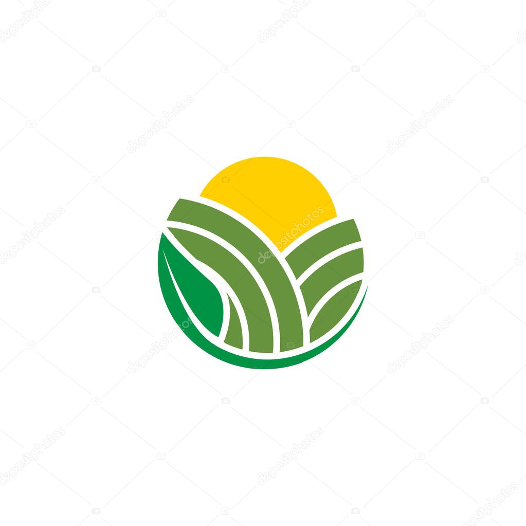 Abstract agriculture with field, sun and leaf logo design concept vector