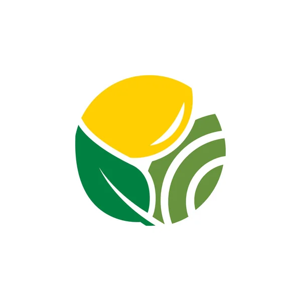 Modelo Conceito Logotipo Agricultura Agrícola Limpa — Vetor de Stock