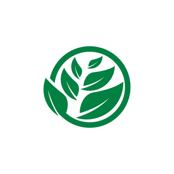 Modelo Conceito Logotipo Agricultura Agrícola Limpa — Vetor de Stock