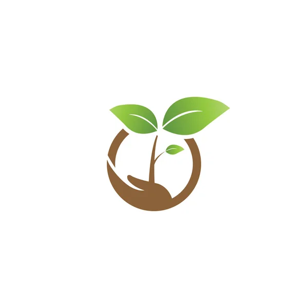 Elegante Sprossen Auf Einer Hand Und Kreis Landwirtschaft Logo Design — Stockvektor