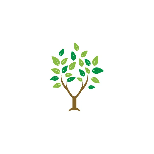 Elegante Árbol Hoja Agricultura Logotipo Diseño Plantilla Vector — Vector de stock