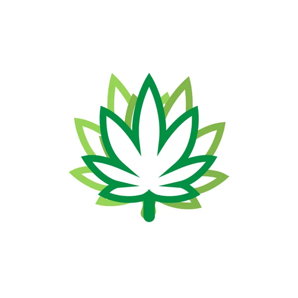 Illustration Modèle Conception Graphique Icône Logo Feuille Marijuana — Image vectorielle