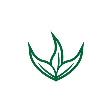 İzole illüstrasyon vektör yaprak simgesi tasarım şablonu