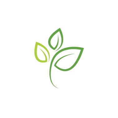 Yaprak grafik tasarım şablonu vektör çizim