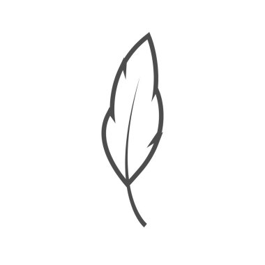 Tüy grafik tasarım şablonu vektör izole