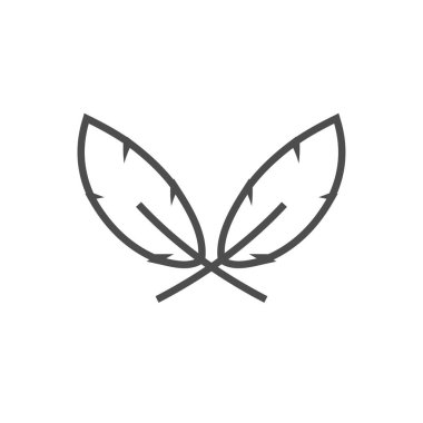 Tüy grafik tasarım şablonu vektör izole