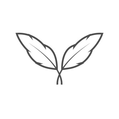 Tüy grafik tasarım şablonu vektör izole