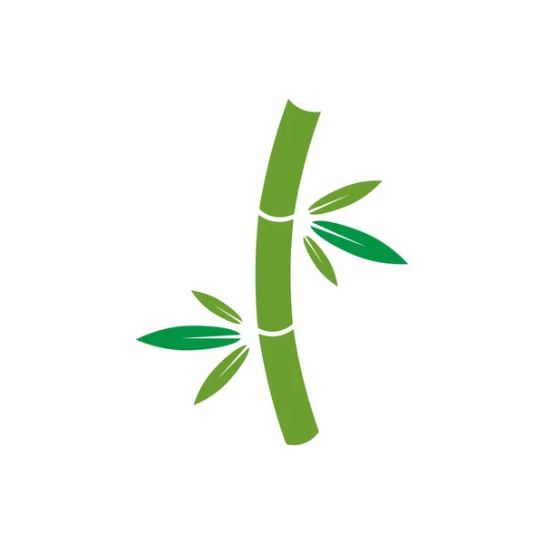 Bamboe grafisch ontwerpsjabloon vector geïsoleerd illustratie — Stockvector