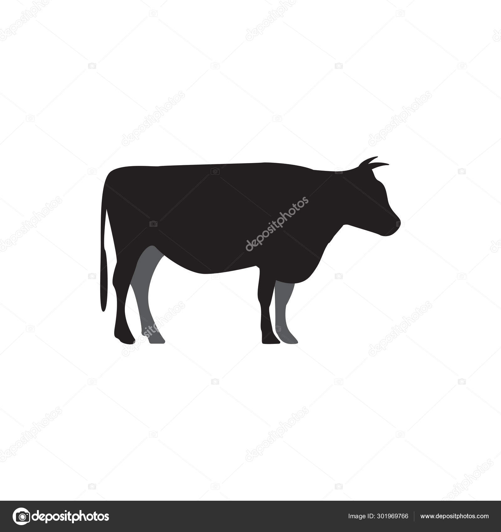 牛グラフィックデザインテンプレートベクトル分離イラスト ストックベクター C Haris99