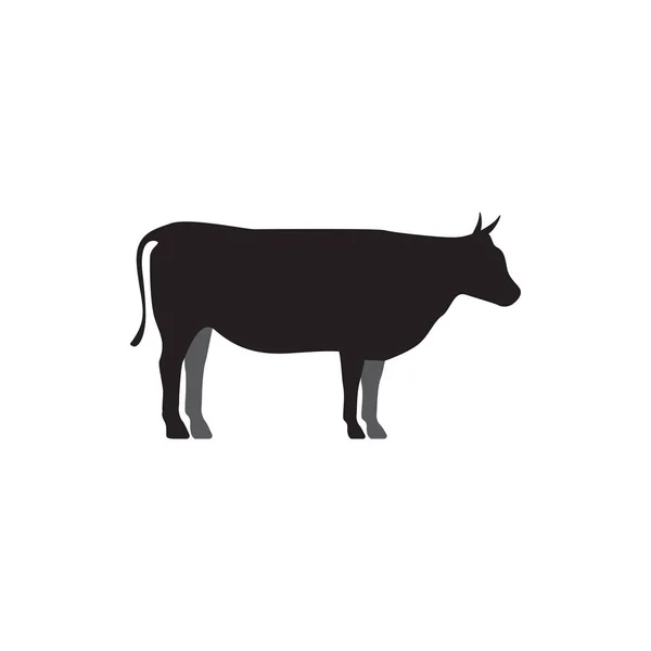 Vaca diseño gráfico plantilla vector aislado ilustración — Archivo Imágenes Vectoriales