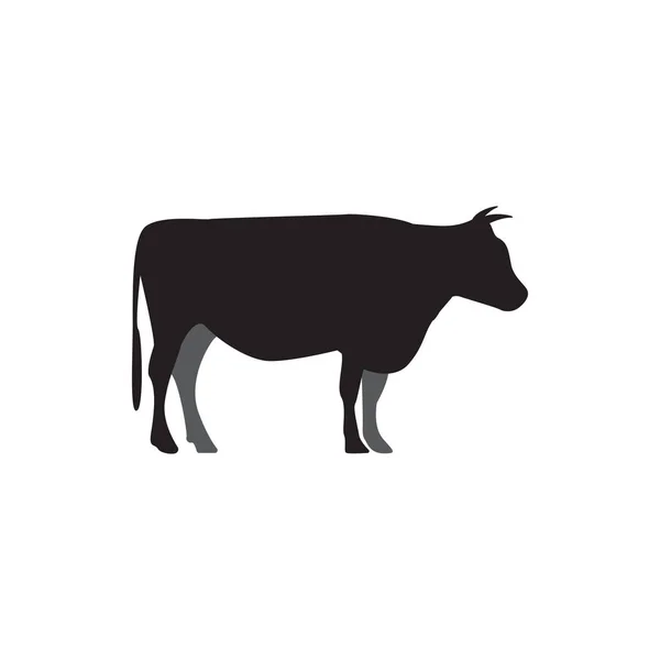 Cow graphic design template vector isolated illustration — Stock Vector