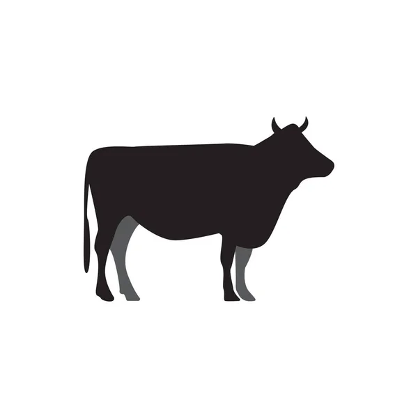 牛グラフィックデザインテンプレートベクトル分離イラスト — ストックベクタ
