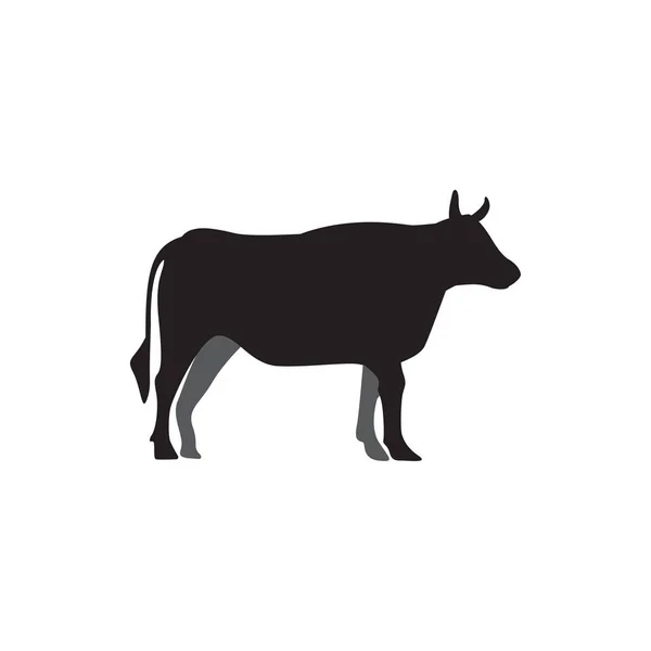 Vaca diseño gráfico plantilla vector aislado ilustración — Vector de stock