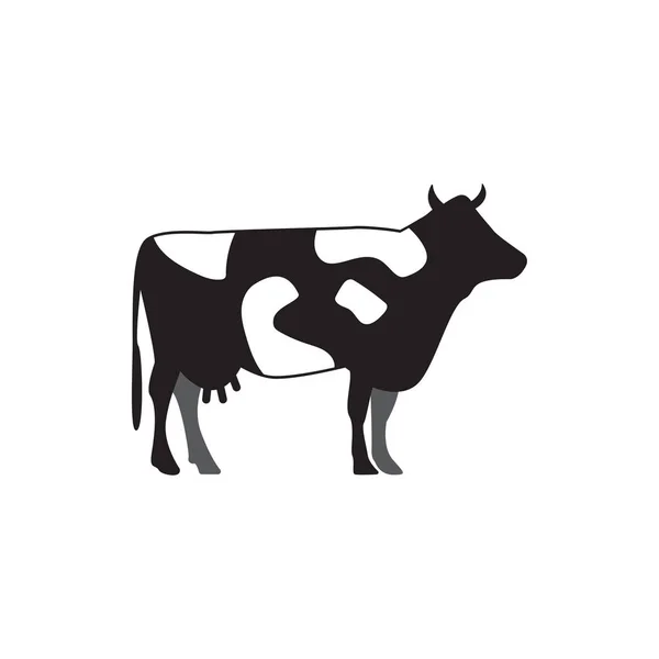 Obrázek kravské grafické návrhová šablony, samostatný ilustrace — Stockový vektor