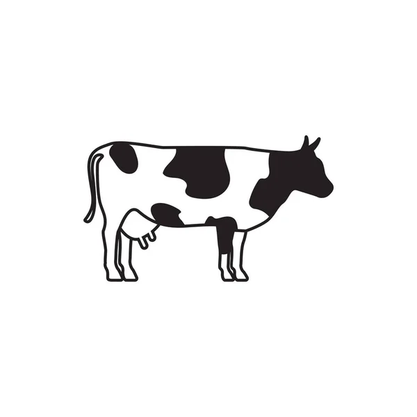 Obrázek kravské grafické návrhová šablony, samostatný ilustrace — Stockový vektor