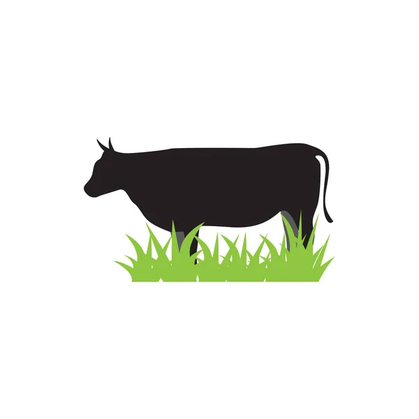 Desenho gráfico de vaca modelo vetorial ilustração isolada — Vetor de Stock