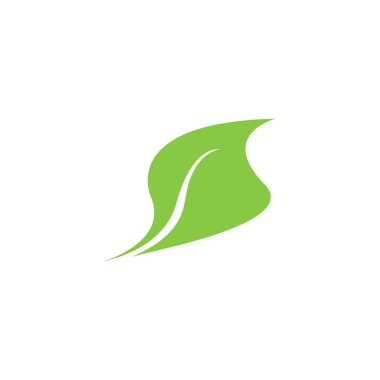 İzole illüstrasyon vektör yaprak grafik tasarım şablonu