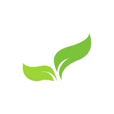 İzole illüstrasyon vektör yaprak grafik tasarım şablonu