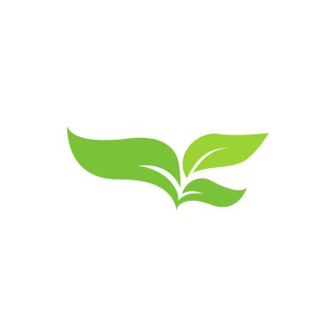 İzole illüstrasyon vektör yaprak grafik tasarım şablonu