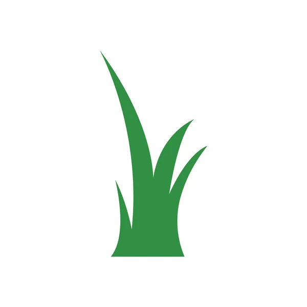 Verde hierba diseño gráfico plantilla vector aislado — Vector de stock