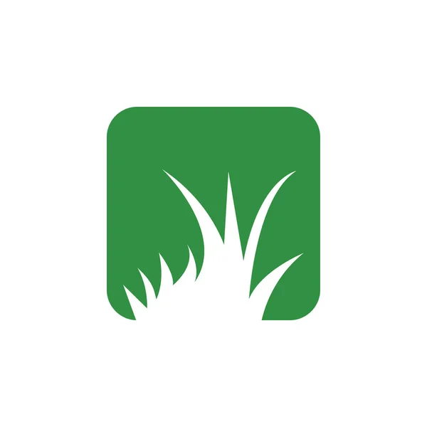 Зелена трава шаблон графічного дизайну Вектор ізольовано — стоковий вектор