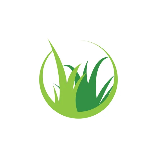 Зелена трава шаблон графічного дизайну Вектор ізольовано — стоковий вектор