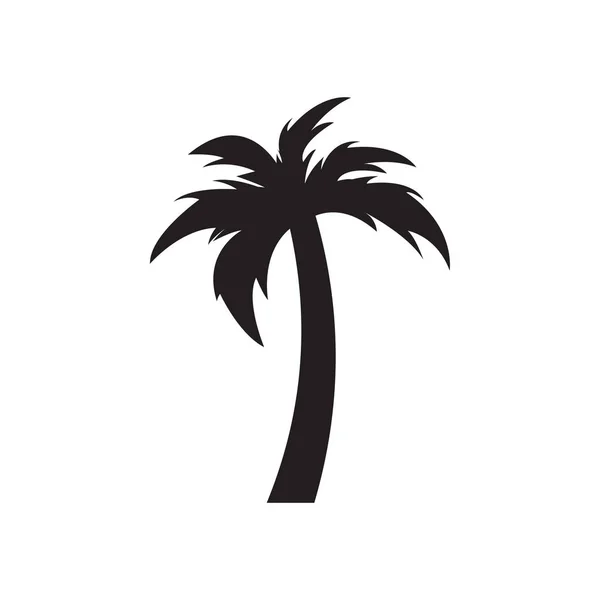 Palma drzewo graficzny projekt szablon na białym tle — Wektor stockowy