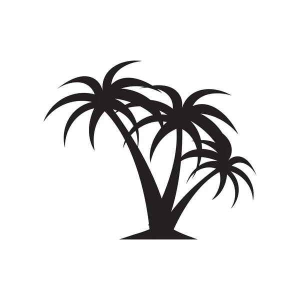 Návrh šablony grafiky v Palm Tree, izolovaný vektor — Stockový vektor