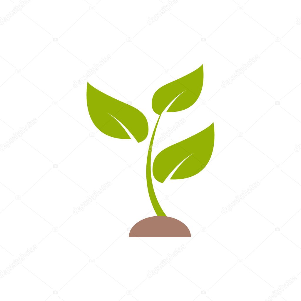 Plant sprout graphic design template vector isolated