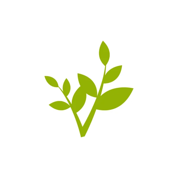 植物芽グラフィックデザインテンプレートベクトル分離 — ストックベクタ