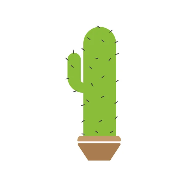 Plantilla de diseño gráfico de planta de cactus vector aislado — Archivo Imágenes Vectoriales