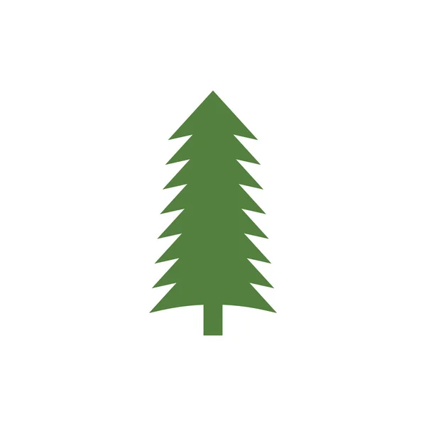Cedar träd grafisk design mall vektor isolerad — Stock vektor