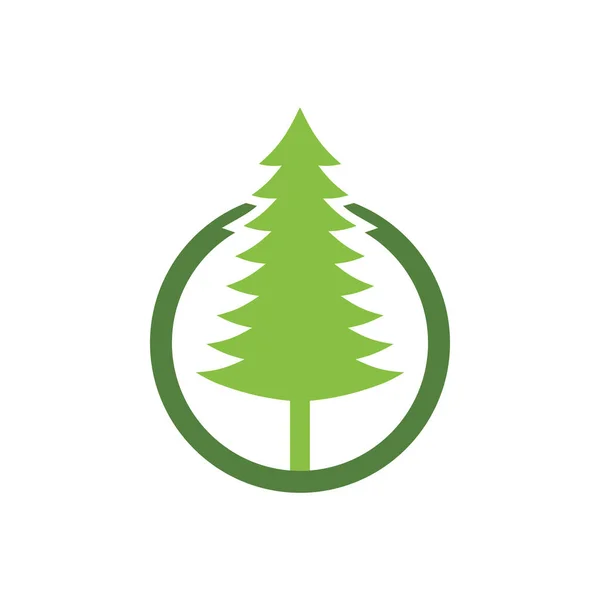 杉の木のグラフィックデザインテンプレートベクトル絶縁 — ストックベクタ