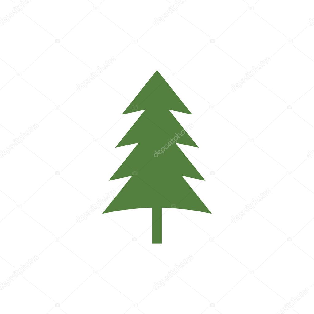 Cedar tree graphic design template vector isolated