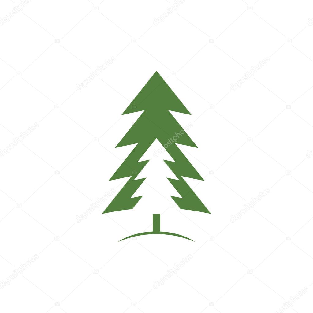 Cedar tree graphic design template vector isolated