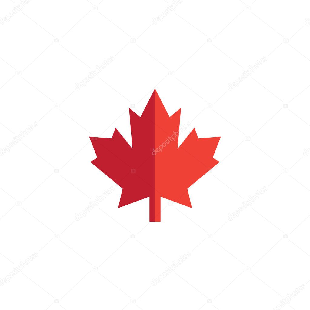 Maple leaf icon design template vector isolated