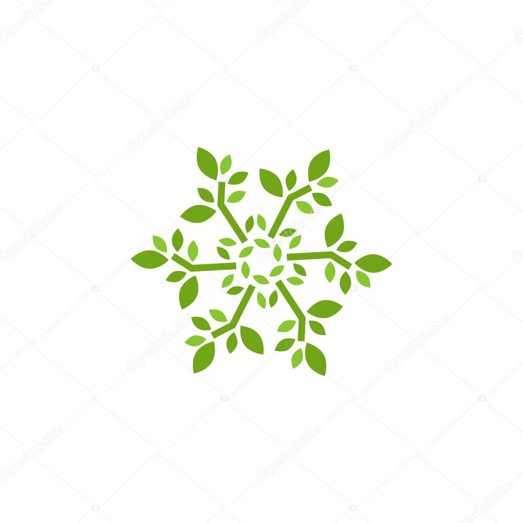 Natural leaf graphic design template vector isolated