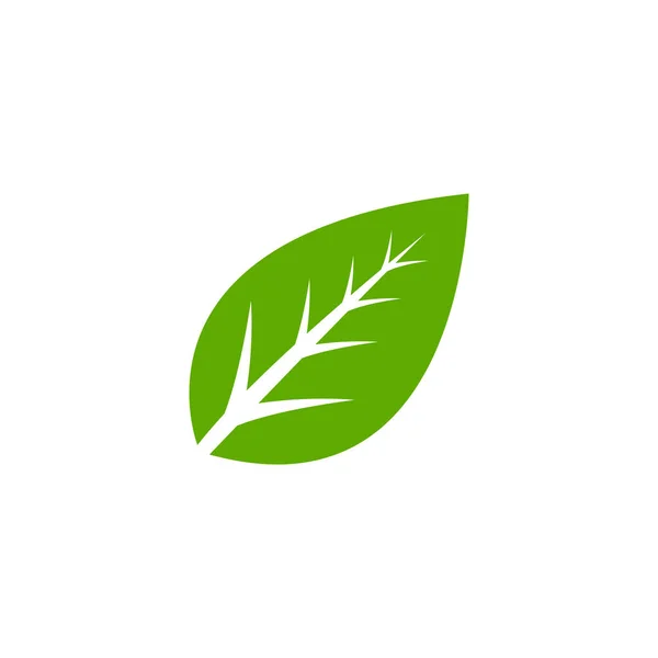 Folha Ícone Logotipo Design Modelo Vetor Isolado — Vetor de Stock