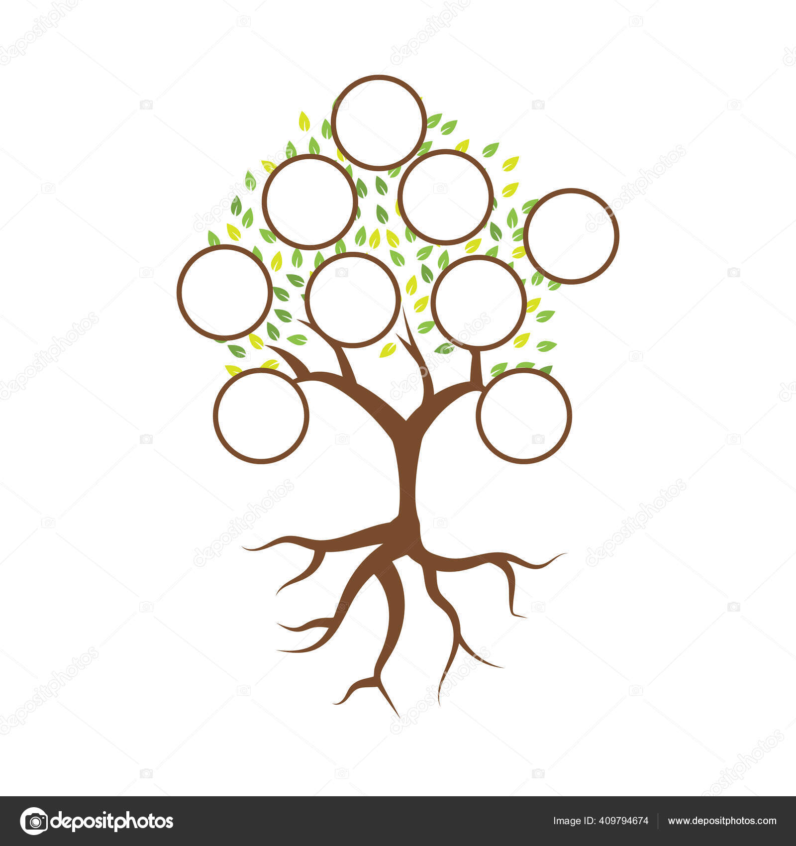 家族树示例模板设计向量图库矢量图©haris99 409794674, image size:1600x1700